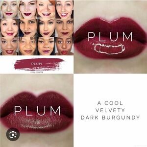 LipSense Lasting Liquid Lip Color Plum Lip Gloss New & Sealed